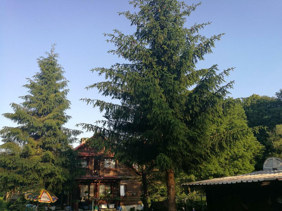 Villa Bieszczadzki Zakatek :-) Skorodne Exterior foto